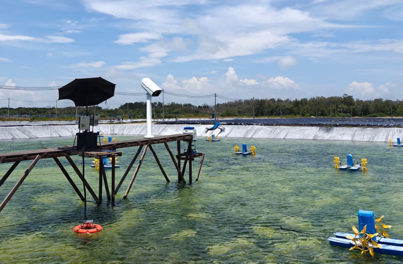 Original pond image